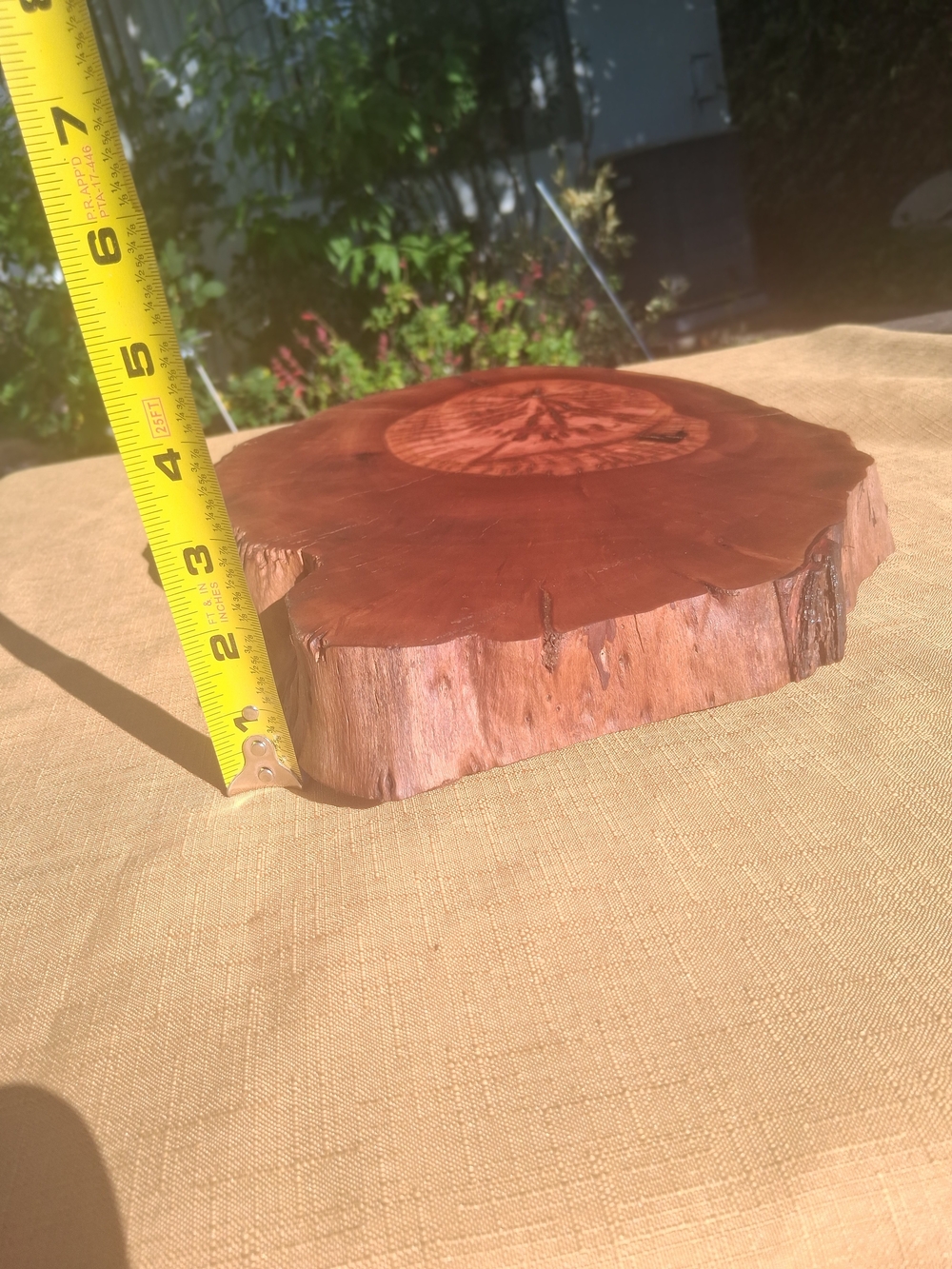 RARE 1925 Fullerton Pepperwood Live Edge Slab 15” x 2.5” - Picture 2 of 10